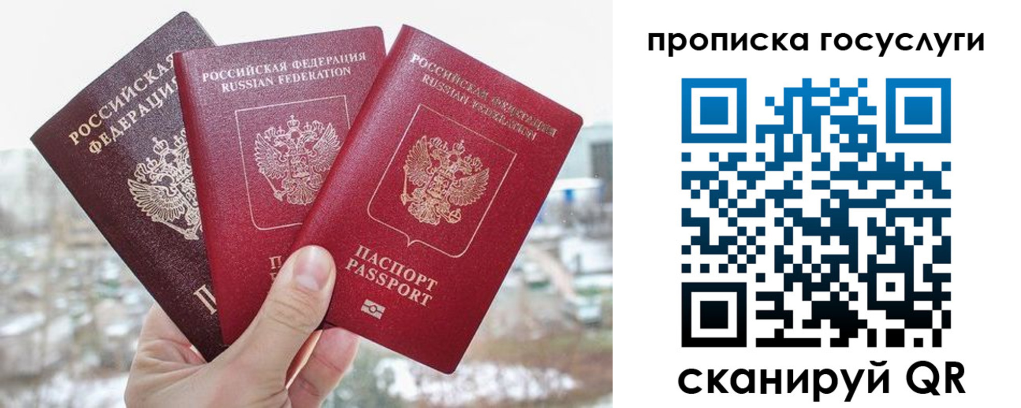 прописка законно в Торопеце